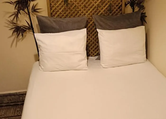 Cactus Host