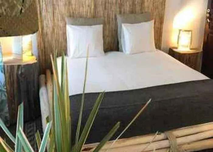 Cactus Host