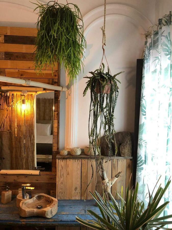 Cactus Host *