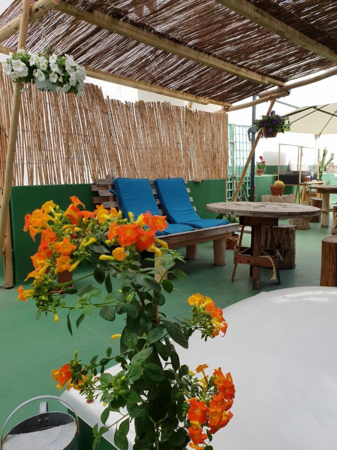 Ostello Cactus Host *