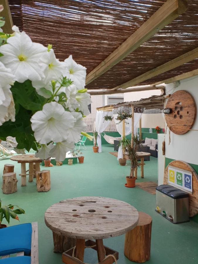 Cactus Host Las Palmas de Gran Canaria