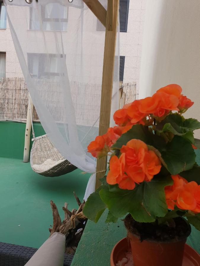 Ostello Cactus Host *