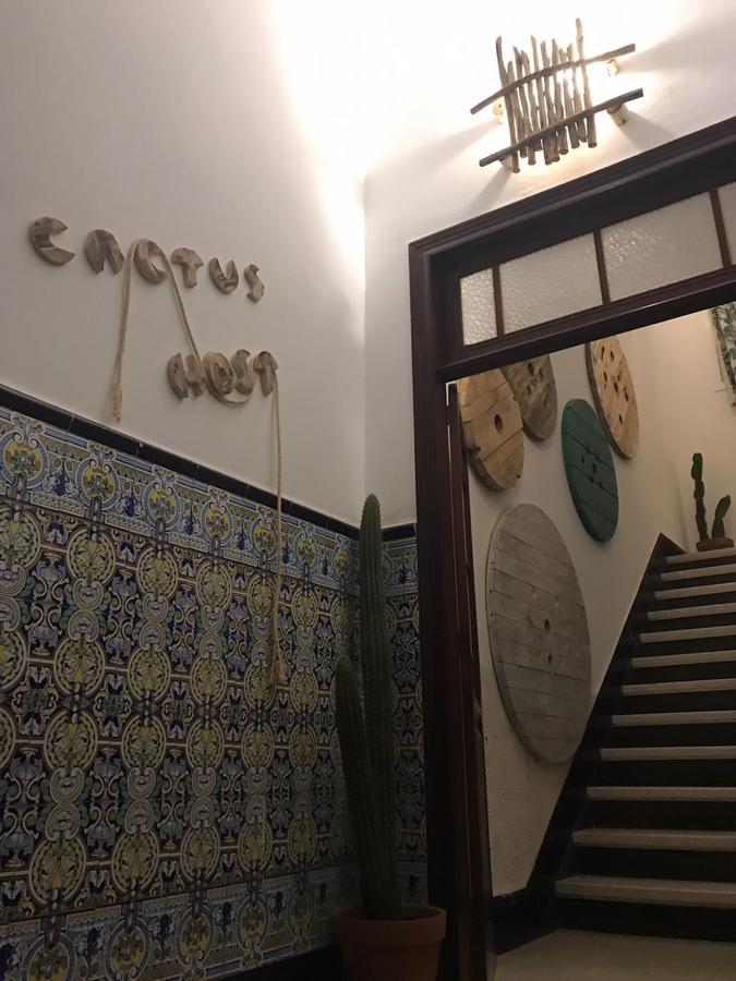 Cactus Host Hostel *