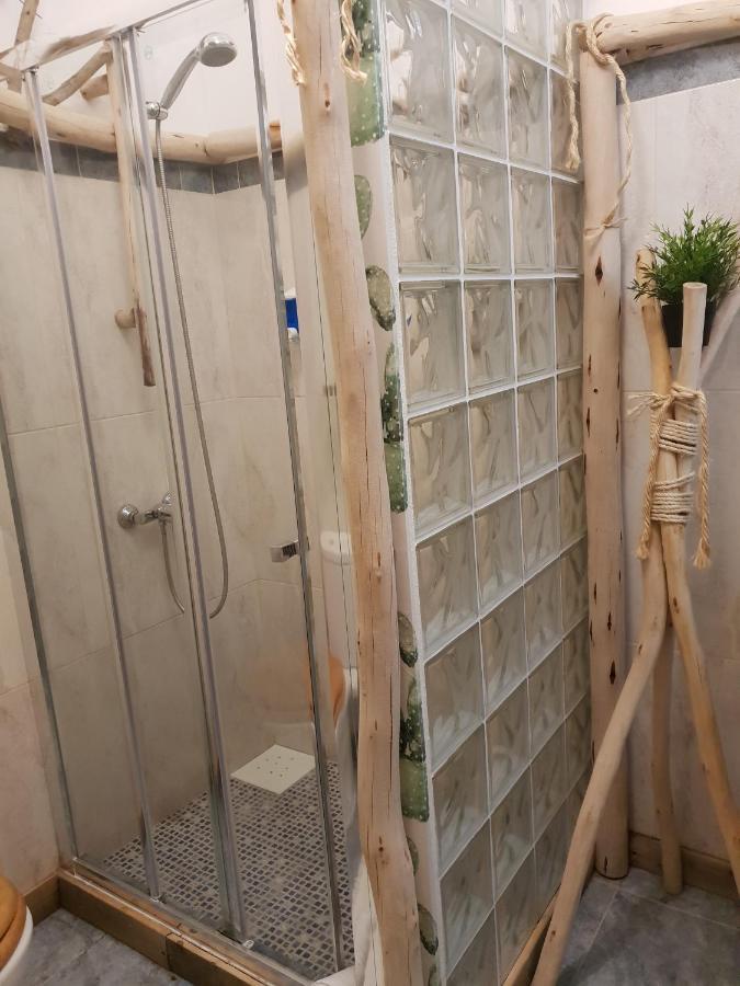 Cactus Host Hostel